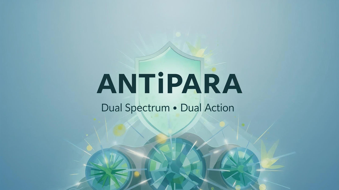 🟧 🛡️ Programme ANTIPARA – Double Spectre
